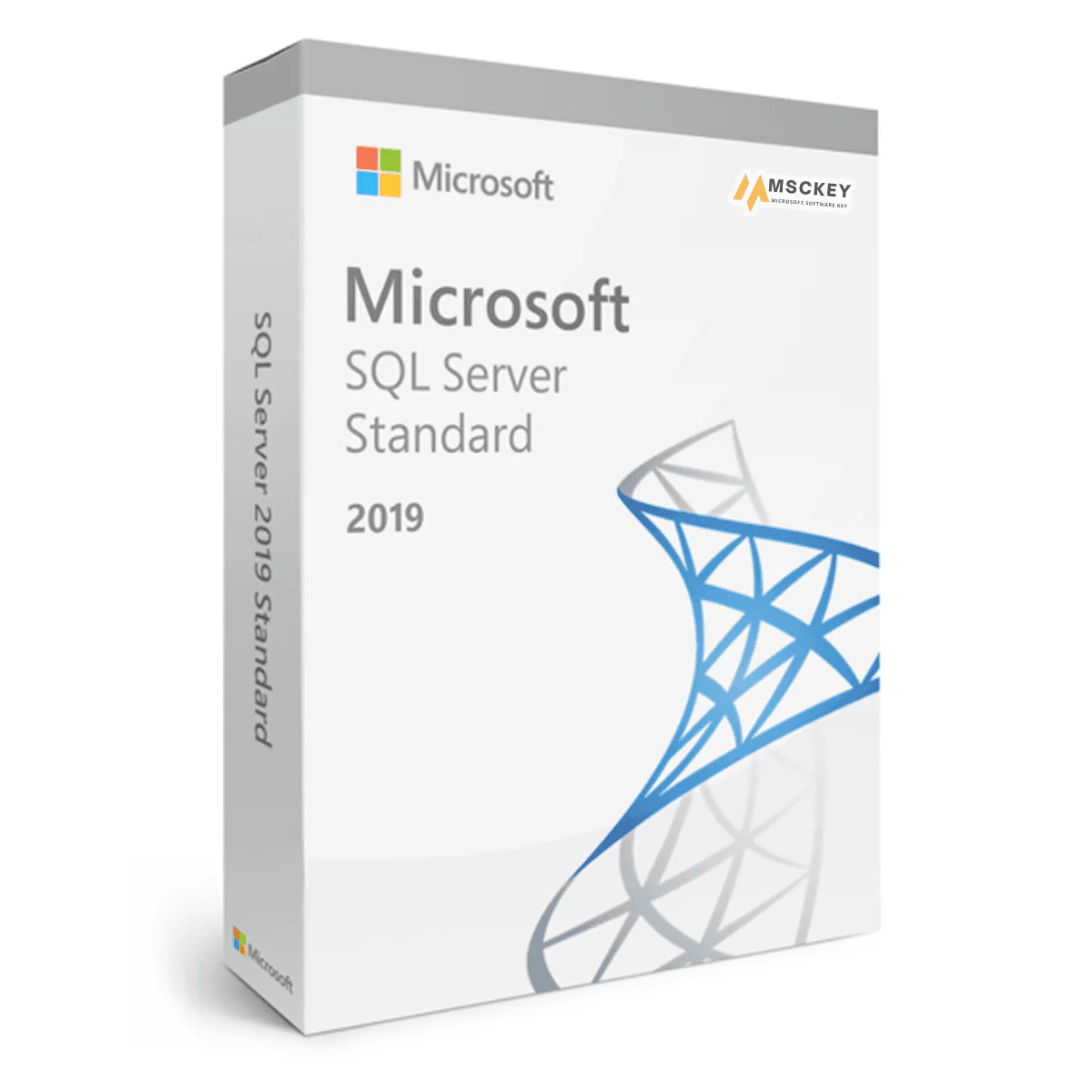Microsoft SQL Server 2019 Standard License