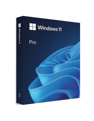 Microsoft Windows 11 Pro key